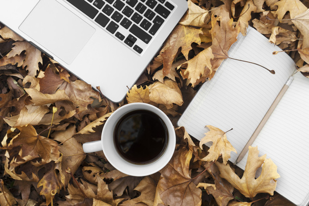 Herbstlaub mit Tasse Kaffee, Laptop und Notizbuch.  - Foto, Bild