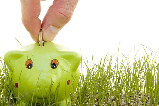 Saving money on a piggy-bank on the grass - Foto, afbeelding