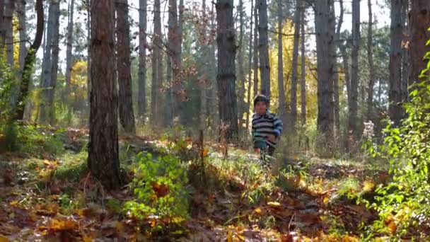Niño feliz corriendo en el bosque otoñal
 - Imágenes, Vídeo