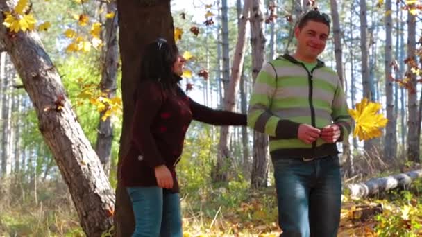 Šťastný pár vychutnávající zlatý podzimní podzimní sezónu - Záběry, video