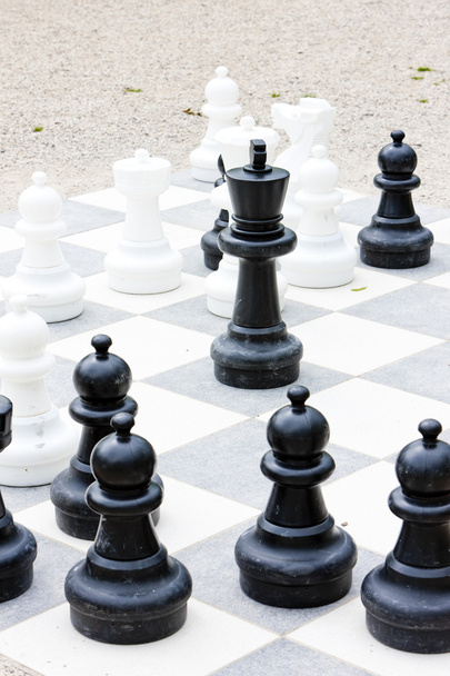 το σκάκι - Φωτογραφία, εικόνα