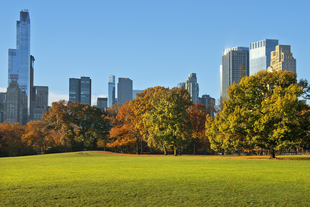 ősszel a new York-i central parkban - Fotó, kép