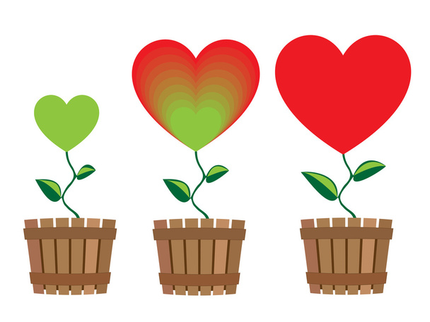 Symbols of growing heart in flower pots - Вектор,изображение