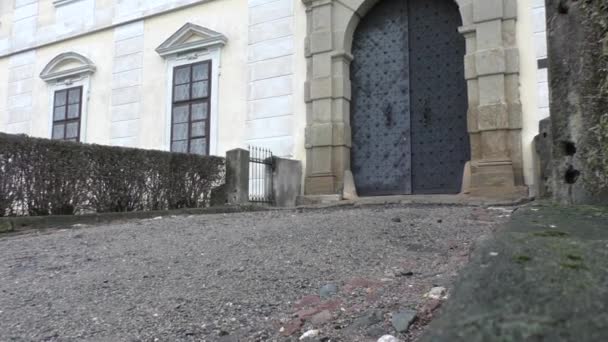 Detal zamek w Czechach - Materiał filmowy, wideo