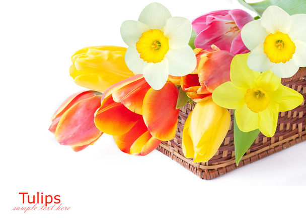 Tulpen, Mimosen und Narzissen Blütenstrauß isoliert auf weiß mit Beispieltext - Foto, Bild
