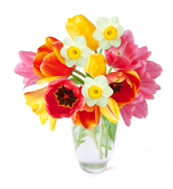 Bouquet de fleurs de tulipes, mimosa et narcisses isolé sur blanc avec un échantillon de texte
 - Photo, image