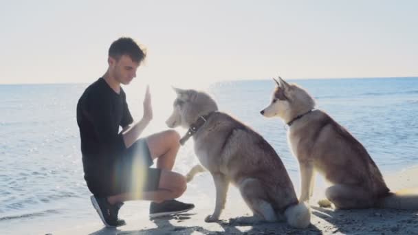 ビーチのスローモーションの彼の犬の訓練の若い男性 - 映像、動画