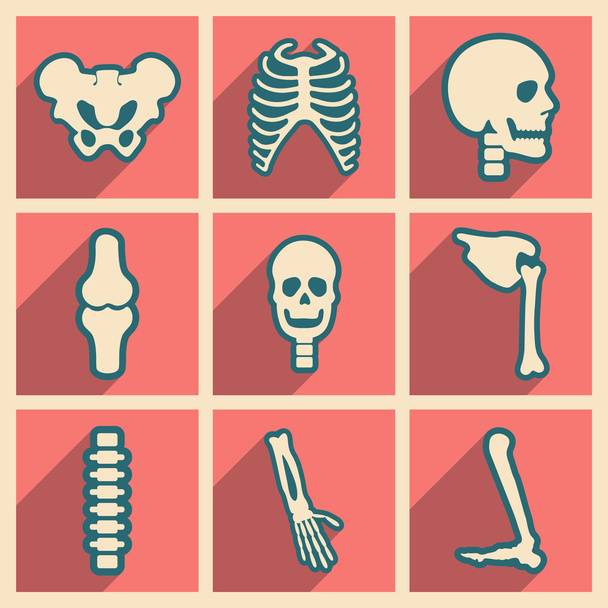 Set icone piatte con lunga ombra scheletro umano
 - Vettoriali, immagini