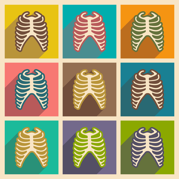 Plat pictogrammen met lange schaduw menselijke rib instellen - Vector, afbeelding