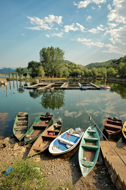 Loďky na národní Park Skadarské jezero, Černá Hora - Fotografie, Obrázek