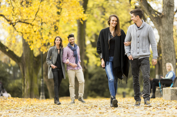 Young people in the autumn park - Photo, image