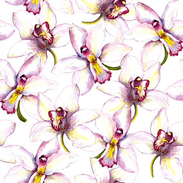 Seamless floral background with white orchid flower. Hand painted watercolor drawing - Фото, зображення