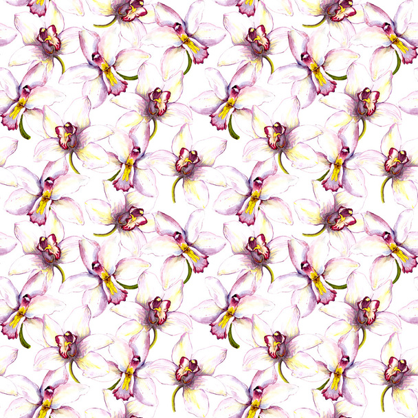 Цветочный фон с белым цветком орхидеи. Рисунок акварелью
 - Фото, изображение