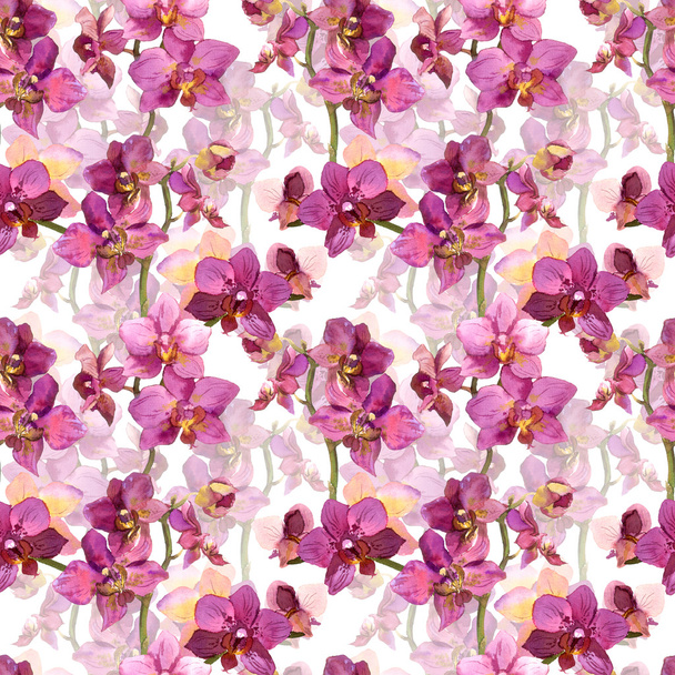 Floral seamless pattern with painted pink orchid flowers on white background - Foto, Imagen