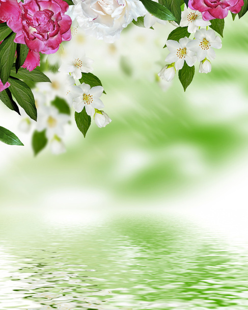 voorjaar landschap met delicate jasmijn bloemen - Foto, afbeelding