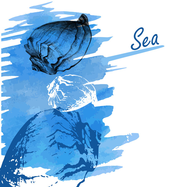 Handdrawn seashells on a watercolor sea background - Vector, Image