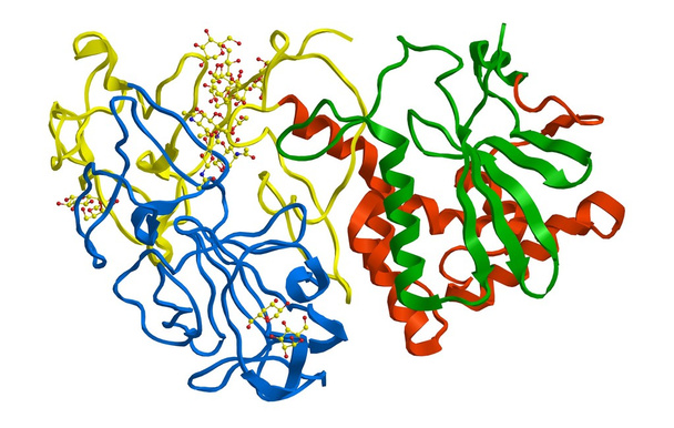 Molecular structure of ricin - Photo, Image