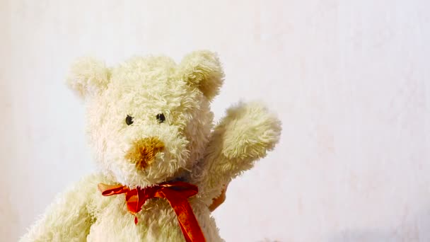 Spielzeug-Teddybär wedelt mit seiner Pfote - Filmmaterial, Video