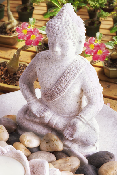 Buddha statue with bonsai in background. - Photo, Image