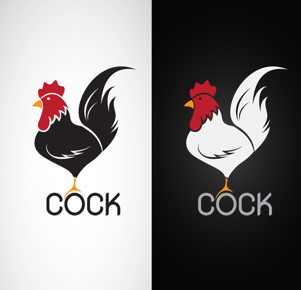 Imagen vectorial de un diseño de polla sobre fondo blanco y bac negro
 - Vector, imagen