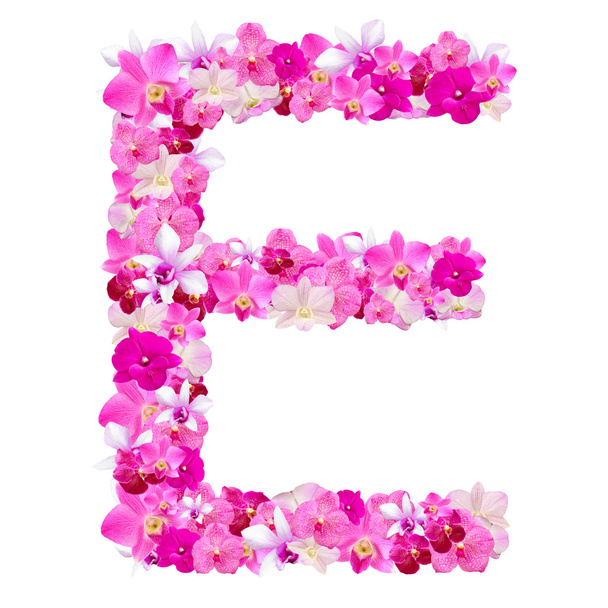 Letter E from orchid flowers isolated on white with working path - Foto, afbeelding