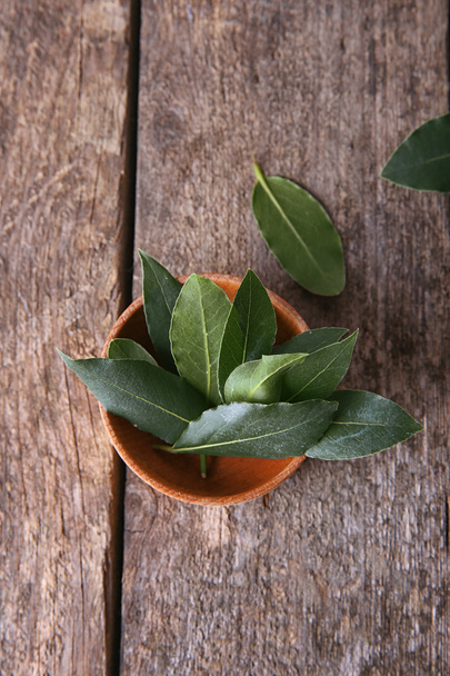 Fresh bay leaves in bowl - Photo, image