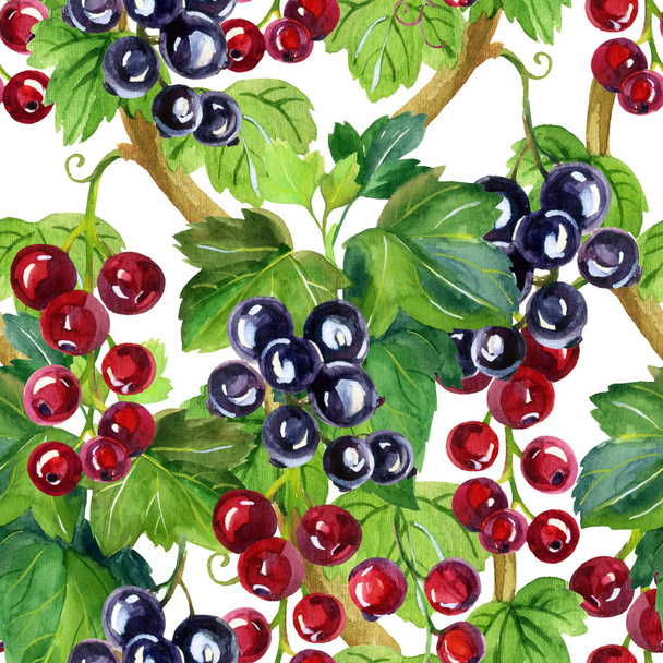 Watercolor red and black currants seamless pattern - Foto, Bild