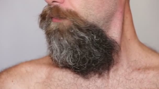 Білий чоловік доглядає за його пишні бороди і вуса - Кадри, відео