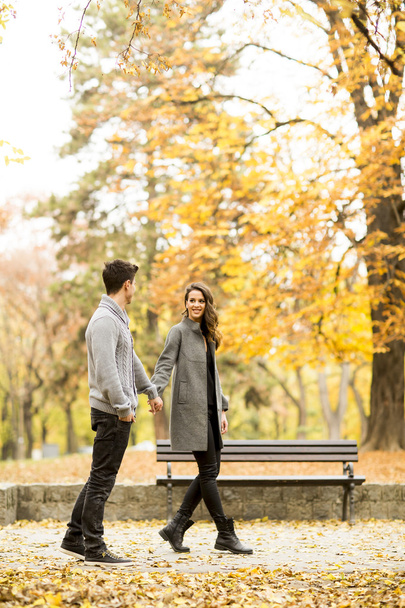 jeune couple dans le parc - Photo, image