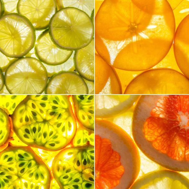 collage cuadrado surtido de 4 rebanadas de fruta retroiluminada
 - Foto, Imagen