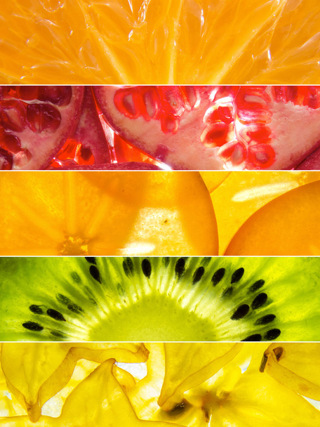 assorted horizontal collage of 5 back lit fruit slices - Photo, Image
