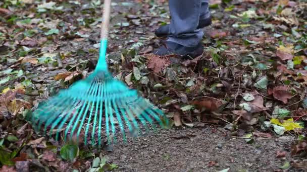 秋の公園で rake を使用労働者 - 映像、動画