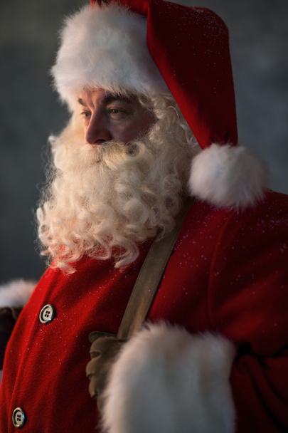 Retrato de Papá Noel
 - Foto, imagen