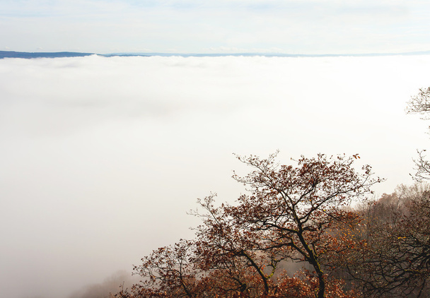 Autumn foggy landscape in the Moselle valley - Photo, Image
