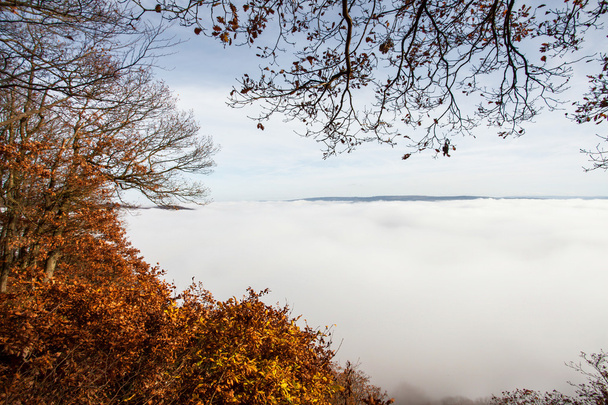 Autumn foggy landscape in the Moselle valley - Photo, Image