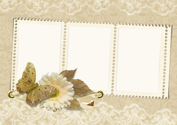 Vintage frame on lace background with butterfly and flower - Foto, imagen