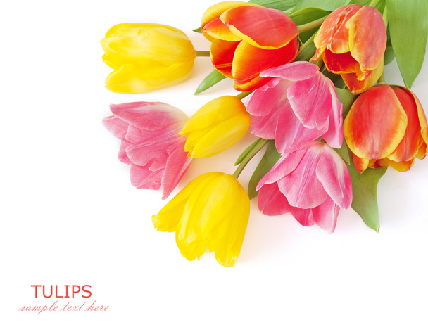 Ramo de flores de tulipanes, mimosas y narcisas aisladas en blanco con texto de muestra
 - Foto, imagen