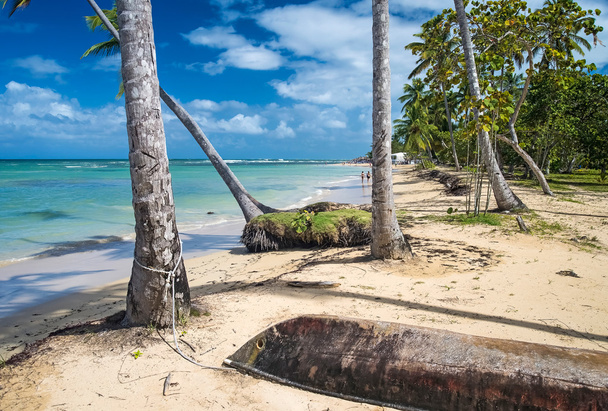 Karibikstrand mit Palmen in der Dominikanischen Republik - Foto, Bild
