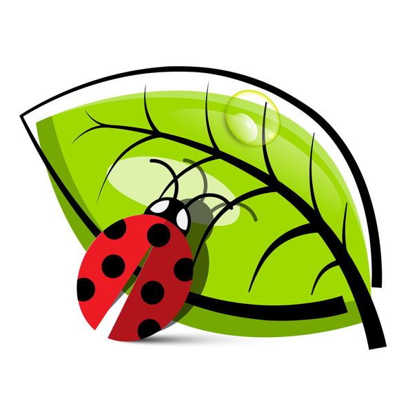 Ladybug Illustration with Leaf Isolated on White Background - Vector, Image