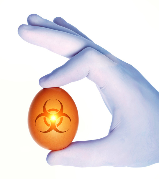 Käsi tilalla muna biovaara symboli
 - Valokuva, kuva