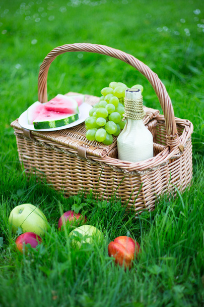 panier pique-nique avec fruits et bouteille de vin sur l'herbe verte - Photo, image