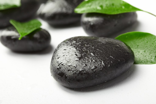 zwarte stenen en groene bladeren - Foto, afbeelding