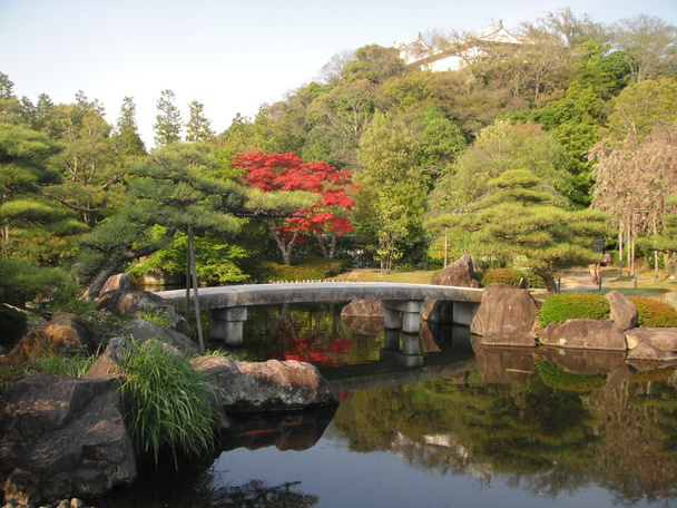 Japanse stijl tuin - Foto, afbeelding