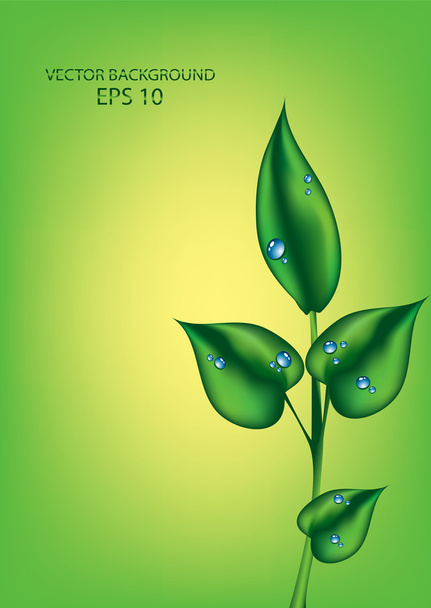 Зеленые листья векторного фона eps 10
 - Вектор,изображение