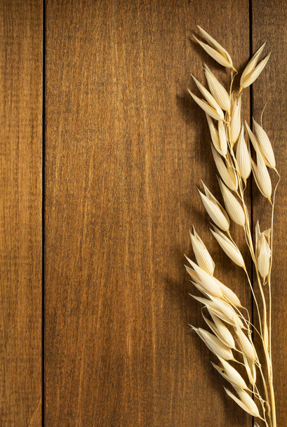 ears of oat on wood - Foto, Bild
