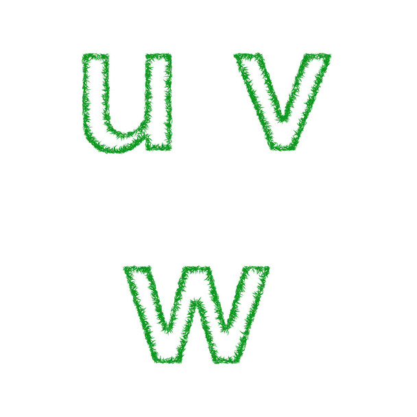 Ensemble de polices herbe verte - lettres minuscules u, v, w
 - Vecteur, image