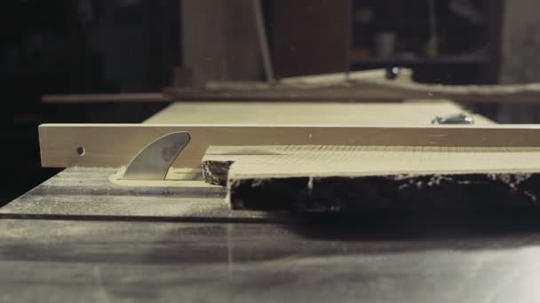 Daire testere yavaş hareket ile bir ahşap tahta kesme marangoz - Video, Çekim