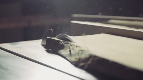 stolarz cięcia desek z Piły tarczowe slow motion - Materiał filmowy, wideo