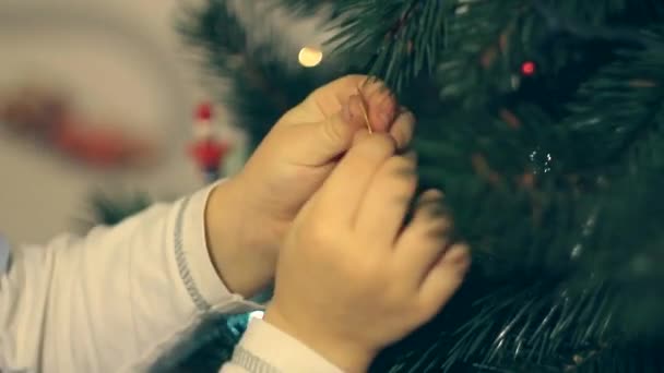 Niño decorando juguete de Navidad árbol de Navidad
 - Imágenes, Vídeo