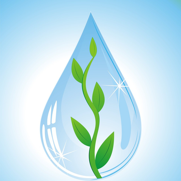 Tree sprout in water drop. - Vector, Imagen